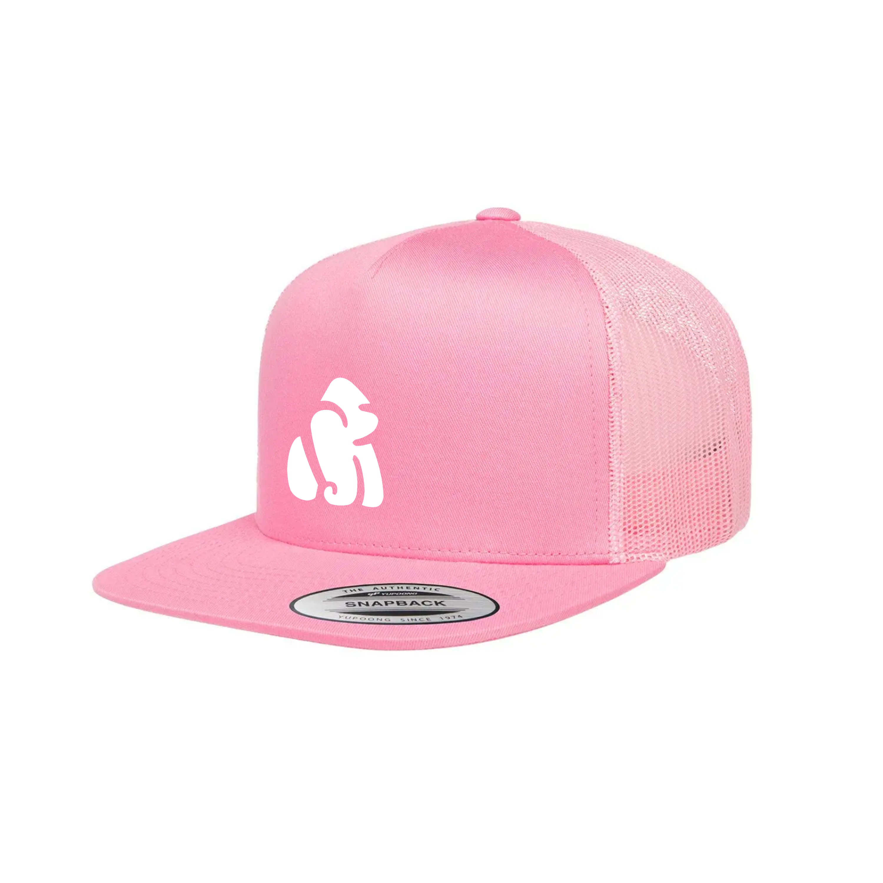 APE SNAPBACK